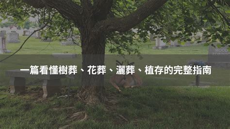 樹葬可以在自己家嗎|植葬、樹葬、植存傻傻分不清楚嗎？5分鐘馬上懂植葬。